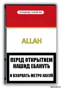 ALLAH взрывные нахуй жи перед открытием нашид ебануть и взорвать метро нахуй