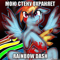 мою стену охраняет rainbow dash