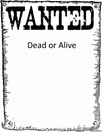 Dead or Alive 