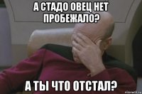 а стадо овец нет пробежало? а ты что отстал?