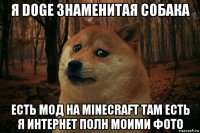 я doge знаменитая собака есть мод на minecraft там есть я интернет полн моими фото