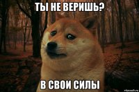 ты не веришь? в свои силы