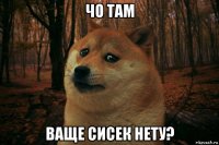 чо там ваще сисек нету?