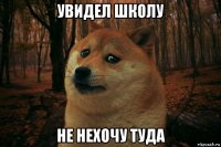 увидел школу не нехочу туда