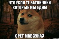 что если те батончики которые мы едим срет мавзуна?