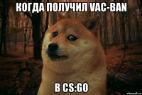 когда получил vac-ban в cs:go