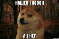 нашёл 1 носок а 2 нет