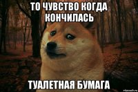 то чувство когда кончилась туалетная бумага