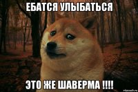 ебатся улыбаться это же шаверма !!!!