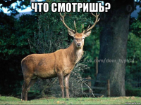 что смотришь? 