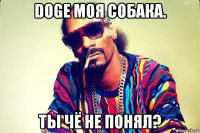 doge моя собака. ты чё не понял?