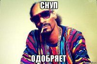 снуп одобряет