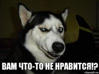 Вам что-то не нравится!?