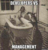 developers vs management