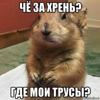 чё за хрень? где мои трусы?