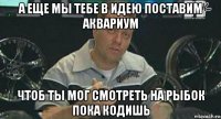 а еще мы тебе в идею поставим аквариум чтоб ты мог смотреть на рыбок пока кодишь