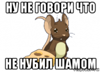 ну не говори что не нубил шамом