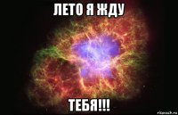 лето я жду тебя!!!