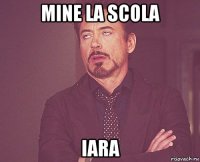 mine la scola iara