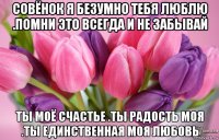 совёнок я безумно тебя люблю .помни это всегда и не забывай ты моё счастье .ты радость моя .ты единственная моя любовь