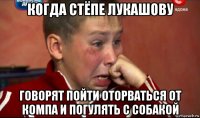 когда стёпе лукашову говорят пойти оторваться от компа и погулять с собакой