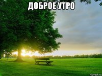 доброе утро 