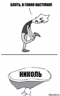 НИКОЛЬ