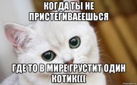 когда ты не пристегиваеешься где то в мире грустит один котик(((