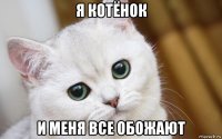 я котёнок и меня все обожают