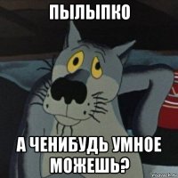 пылыпко а ченибудь умное можешь?