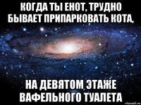 когда ты енот, трудно бывает припарковать кота, на девятом этаже вафельного туалета