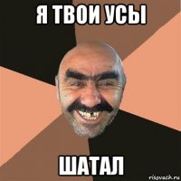 я твои усы шатал