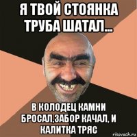 я твой стоянка труба шатал... в колодец камни бросал,забор качал, и калитка тряс