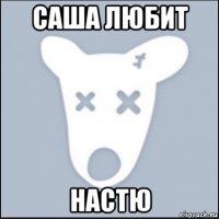 саша любит настю