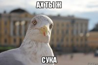 ах ты ж сука
