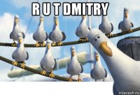 r u t dmitry 