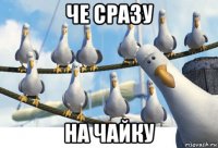 че сразу на чайку