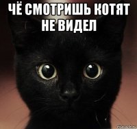 чё смотришь котят не видел 