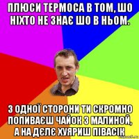 плюси термоса в том, шо ніхто не знає шо в ньом. з одної сторони ти скромно попиваєш чайок з малиной, а на дєлє хуяриш півасік