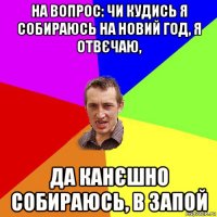 на вопрос: чи кудись я собираюсь на новий год, я отвєчаю, да канєшно собираюсь, в запой