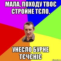 мала, походу твоє стройне тєло, унесло бурне тєчєніє