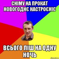 сніму на прокат новогоднє настроєніє всього ліш на одну ночь