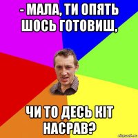 - мала, ти опять шось готовиш, чи то десь кіт насрав?