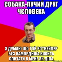 собака-лучий друг чєловека я думаю шо той ротвейлер без намордніка біжить спитати в мене як діла