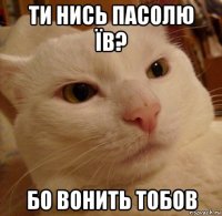 ти нись пасолю їв? бо вонить тобов