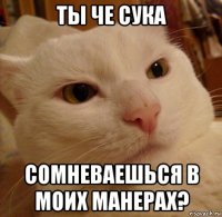 ты че сука сомневаешься в моих манерах?