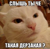 слышь ты че такая дерзакая ?