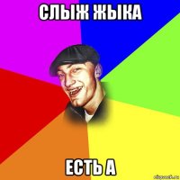 слыж жыка есть а