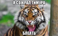 я сожрал тимура блеать