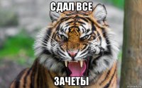 сдал все зачеты